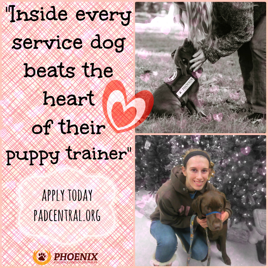 RaisePuppyVday