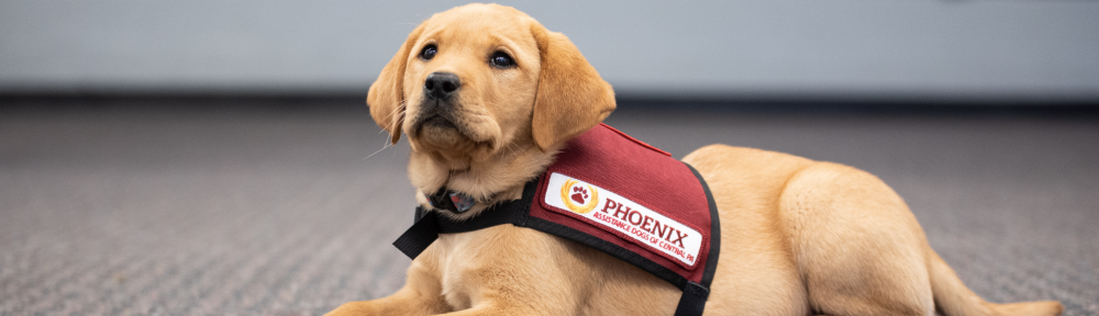 Phoenix Assistance Dogs